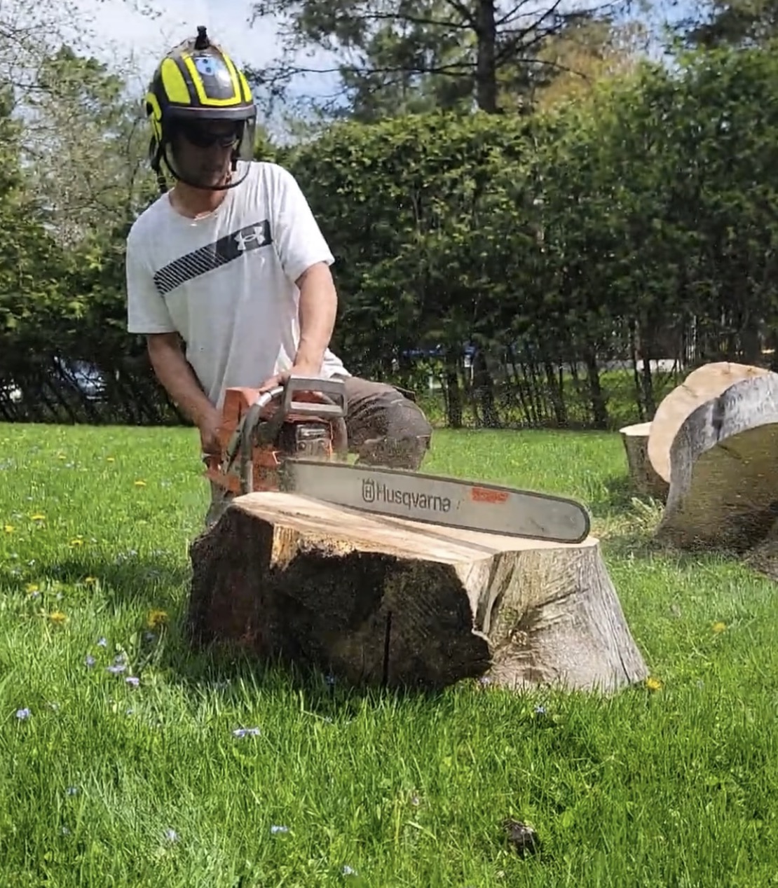 Stump Grinding & Removal